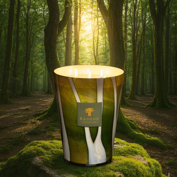 Sherwood Woods 4-Wick Scented Candle, 1.1kg