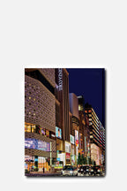 Tokyo Chic Book