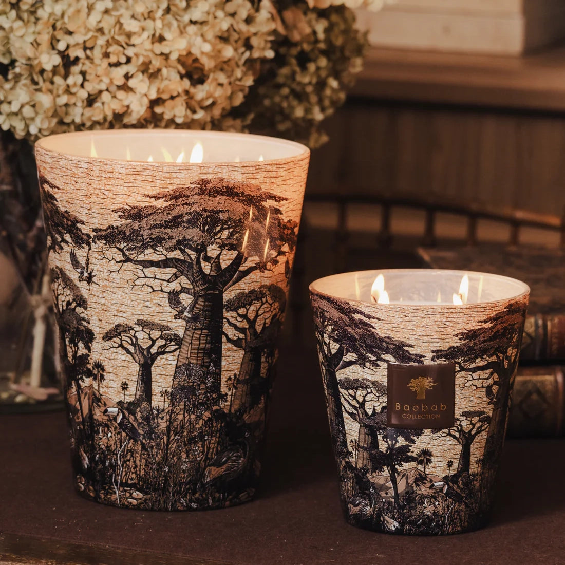 Baobab Sacred Trees Mankono Scented Candle – Max 35