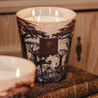 Baobab Sacred Trees Mankono Scented Candle – Max 16