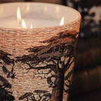 Baobab Sacred Trees Mankono Scented Candle – Max 16