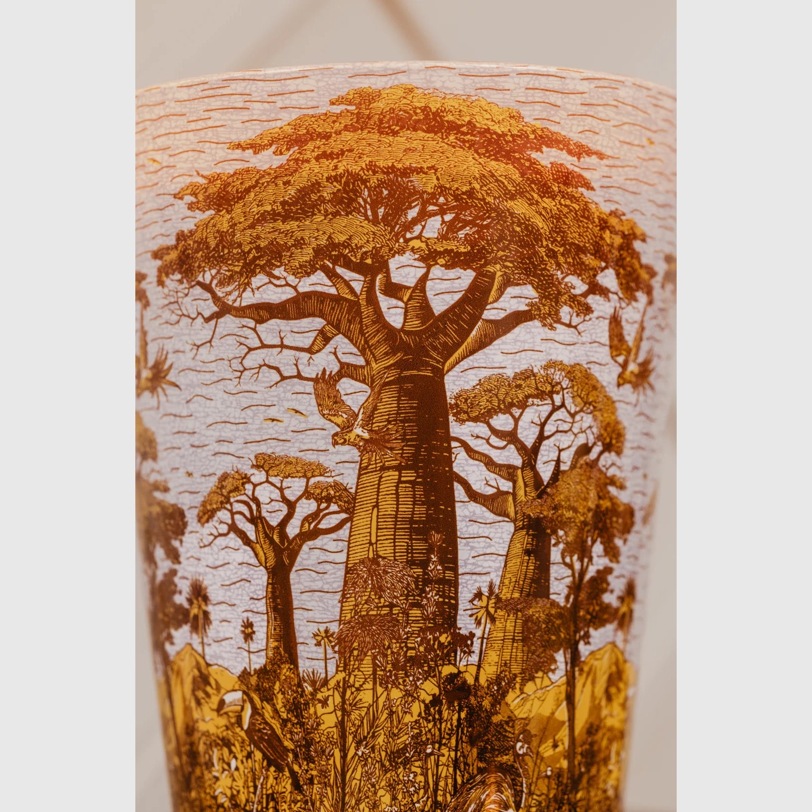Baobab Sacred Trees Bounkani Scented Candle – Max 35