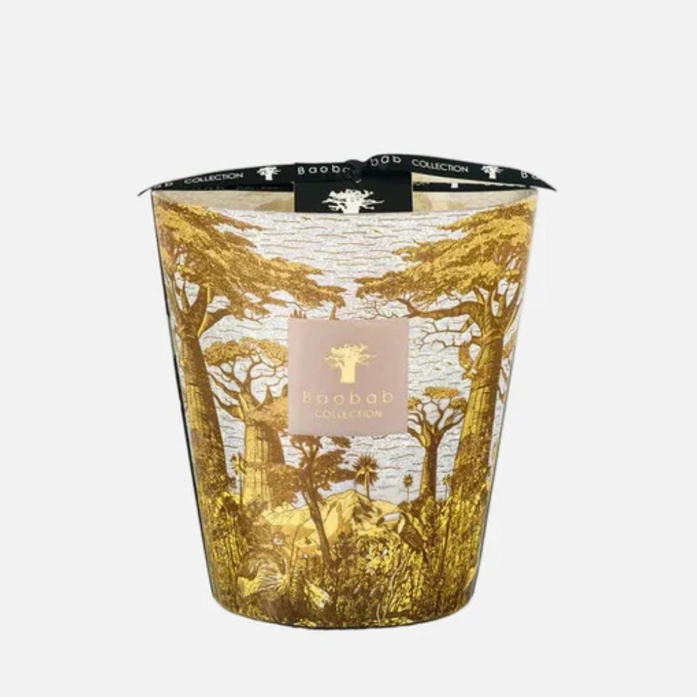 Baobab Sacred Trees Bounkani Scented Candle – Max 16
