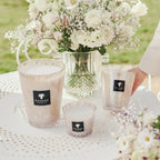 Baobab White Pearls Scented Candle – Max 16