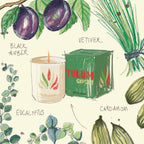 Tulum Gypset Travel From Home Candle