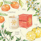 Marrakech Flair Travel From Home Candle (319 gm)