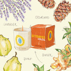 St Tropez Travel From Home Scented Candle (319 gm)