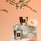 Baobab Collection Aurum & Les Exclusives candle duo gift set, two 190g candles, styled in a room setting