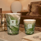 Baobab Collection Leaves Marius 4-wick scented candle in mouth-blown glass, 500g, styled in a room setting