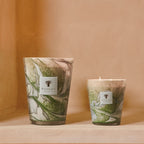 Baobab Collection Leaves Marius 7-wick scented candle in mouth-blown glass, 6.5kg, styled in a room setting