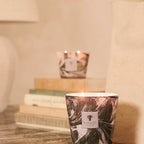 Baobab Collection Manon 4-wick scented candle in mouth-blown glass, 500g, styled in a room setting