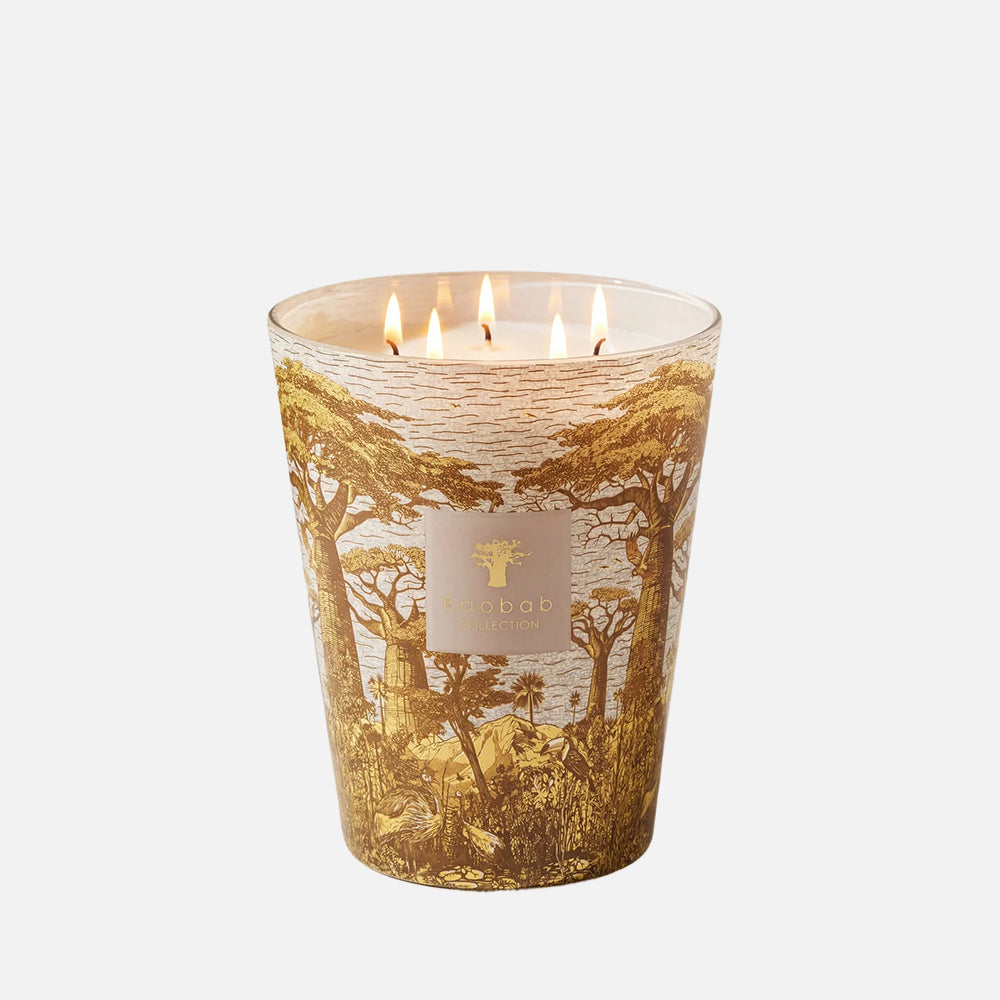Baobab Collection Sacred Trees Bounkani 5-wick scented candle in mouth-blown glass, 3kg, front view