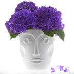 Champagne Cooler Faces, White