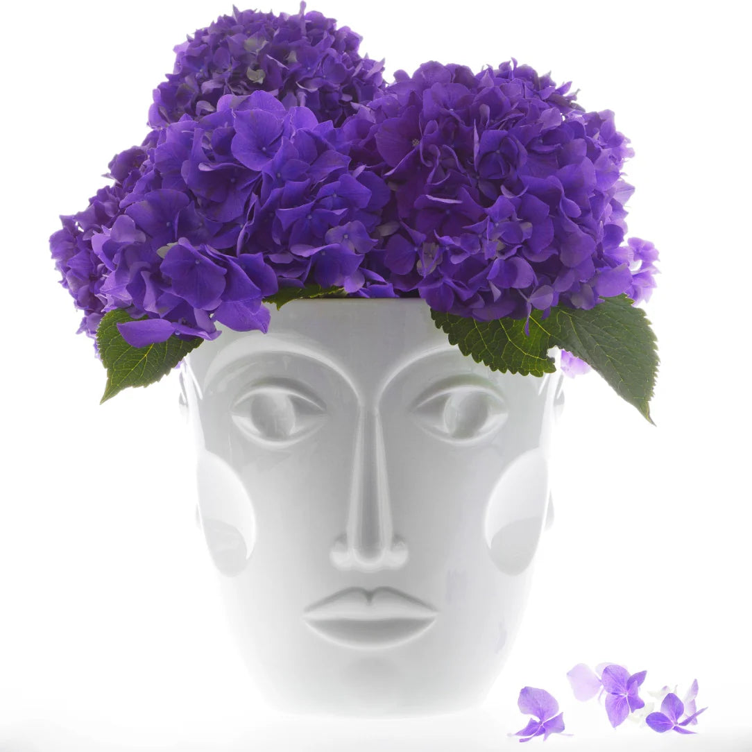 Champagne Cooler Faces, White