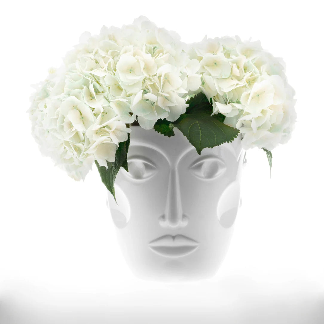 Champagne Cooler Faces, White