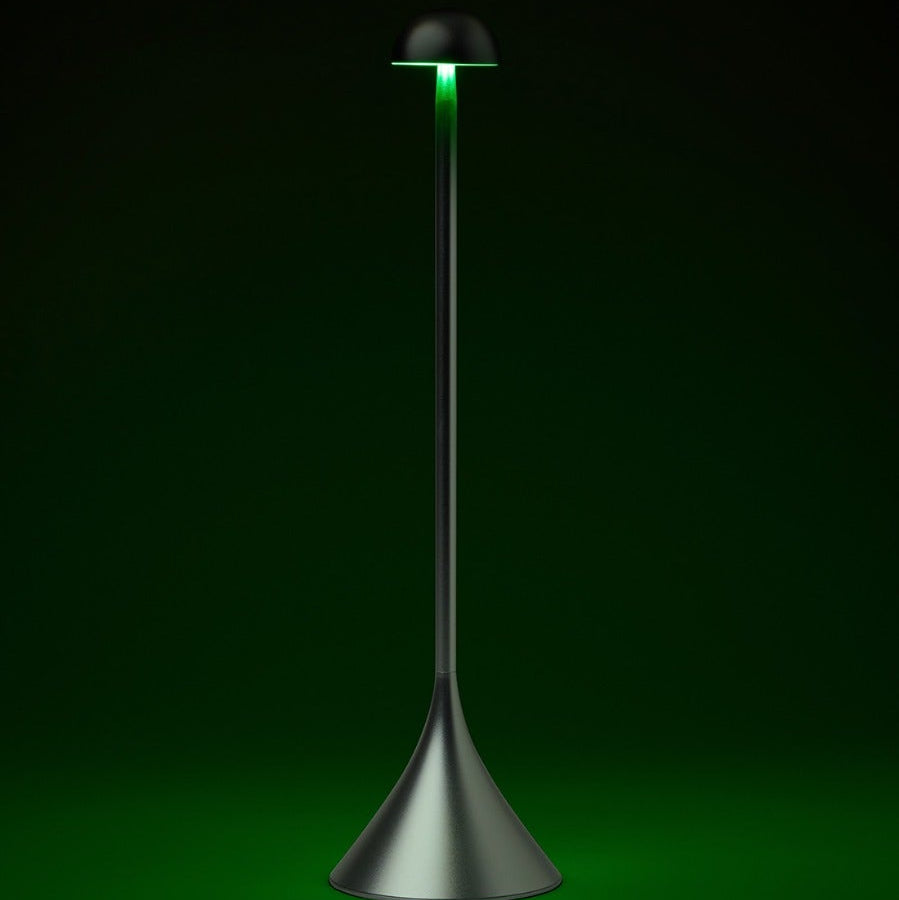 Steli Dome Portable LED Table lamp
