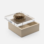 Riviere Fleur Dahlia Diamonds Square Box, Ivory, 17x17cm, shown open