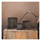 Scented Candle - Zebre -( XL )